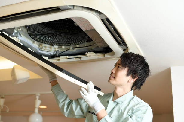 Best Air Duct Mold Removal  in Kulpmont, PA