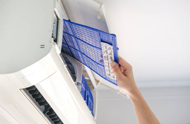 Best Affordable Duct Cleaning Services  in Kulpmont, PA