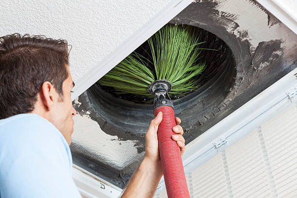 Best Emergency Air Duct Cleaning  in Kulpmont, PA