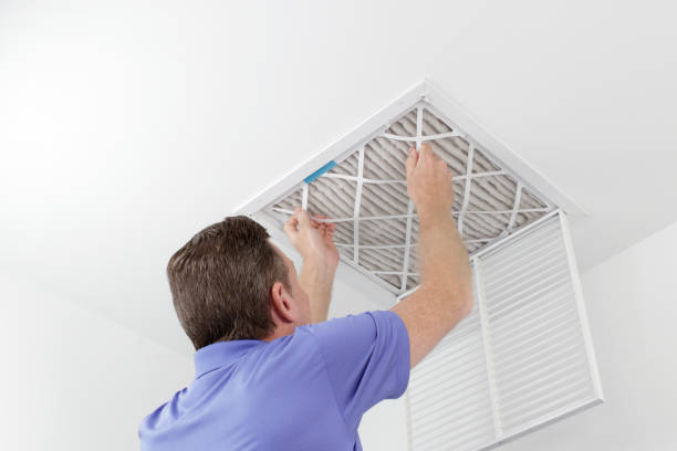 Best Home Air Vent Cleaning  in Kulpmont, PA